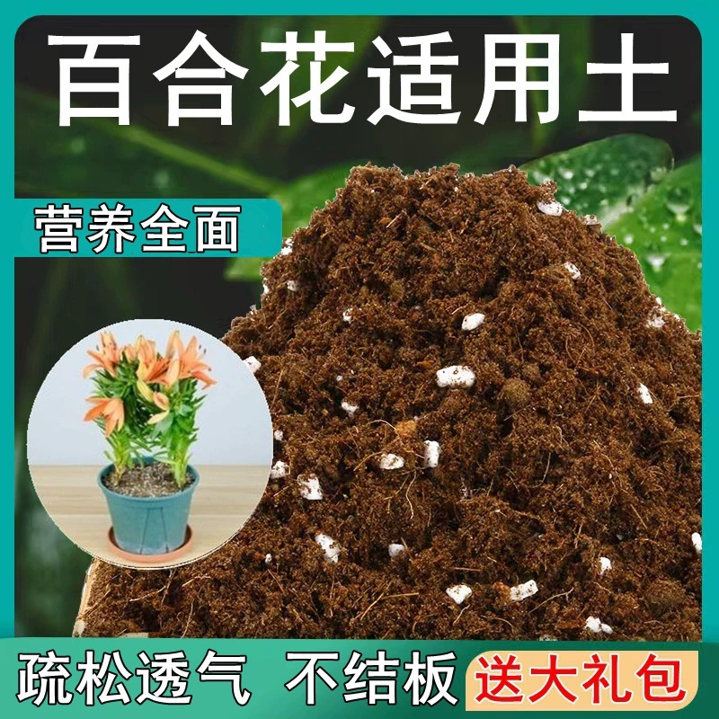 [Подарочная упаковка] Цветок лилии подходит для рассыпчатых и дышащих зеленых растений в горшках, специальных питательных почвенных удобрений для комнатных растений.