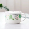 5,25 дюйма, с ручкой, с крышкой, Кактус B