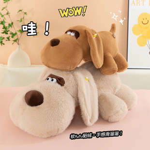 ���۹�����ë�q��߹��д��^���L�l���^ſ����ż������˯�������l