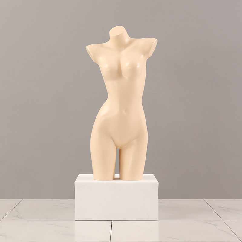 피부색 여성 샴/부적합 브래킷