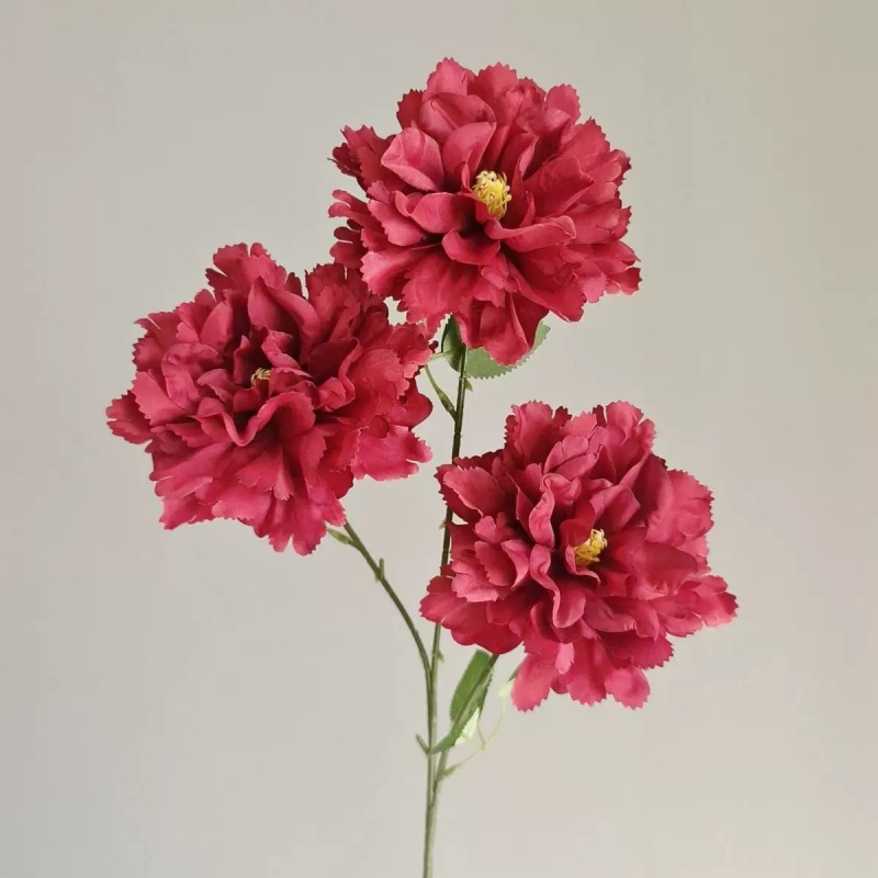 3 히비스커스 모란-버건디