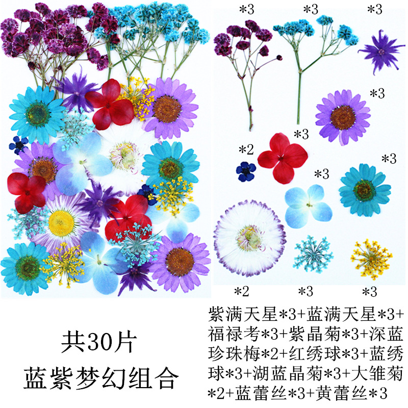 파란색과 보라색 꿈의 조합