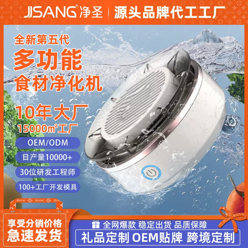 新品家用多功能食材净化机农残果蔬自动除菌清洗机源头工厂除农残