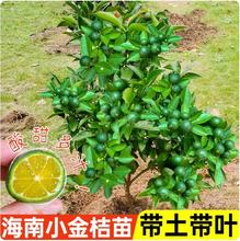 ����С��ۘ����̲�ꌣ��С��ۼ޽ӽ�ۙ��ʹ����Ә����ļ��ɷN