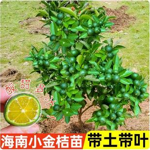 ����С��ۘ����̲�ꌣ��С��ۼ޽ӽ�ۙ��ʹ����Ә����ļ��ɷN