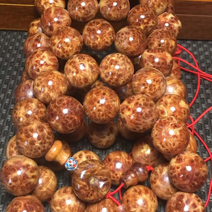 �����°��ִ�2.0�M����ȸ��ꐻ�������12�w������������ľ�����