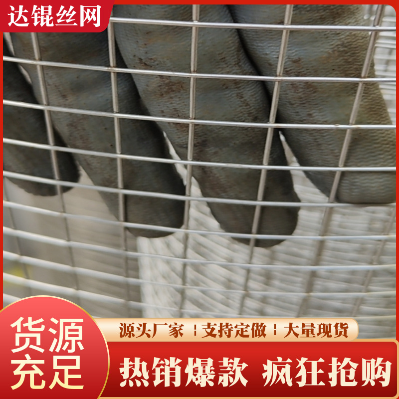 304不锈钢电焊网 养殖防护不锈钢网机器碰焊过滤筛网厂家供应促销