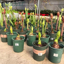 tt���m�ش���피t�N���ذ��������҃��̨�����ļ�ͥԺֲ��S��