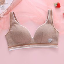新款三原色学生发育期内衣后三排扣胸罩轻薄棉杯少女文胸舒适透气