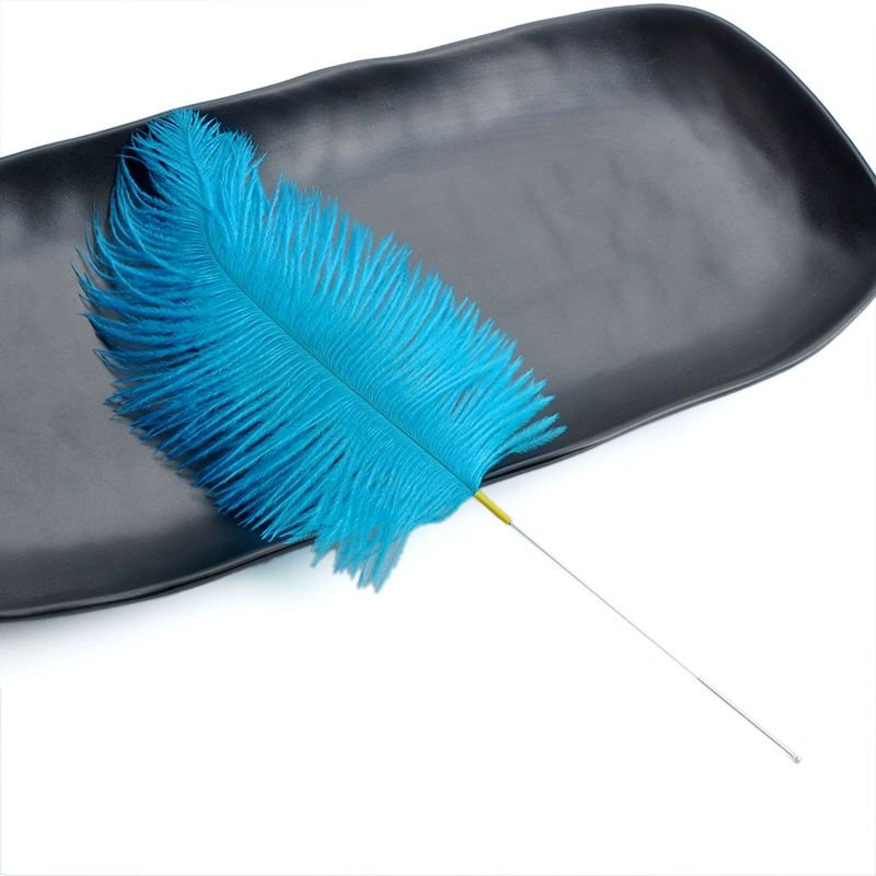 9ZRT Peacock Feather ostrich wool Sweeping SPA Massage Spa