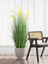 ��@����Gֲ��β�������̈��쾰�JȔ�����[���҃ȼ�ֲ���b[��