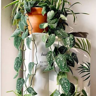 ���~�y�߸�С�~���Ի��~����ֲ��G�}�Ғ��҃�ˮ�����k���Һ��B