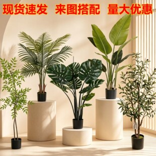 �������˽��ϙ���������� 1.2 ���҃�����b[������Gֲ�쾰