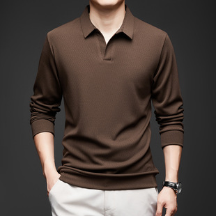Cross-border 2024 Spring and Autumn New Long-sleeved Polo Shirt Men's Middle-aged Business Solid Color Lapp Thin Breathable T-shirt