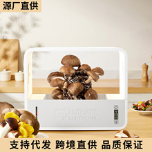 �������B����������Ģ���Nֲ�C�o������Nֲ���㹽С�ͷNֲ��羳