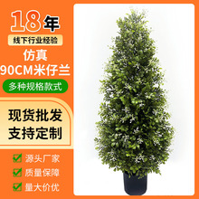 �羳���������m���ԾӼҾGֲ�b@ˇ�쾰����Gֲ�����m�����[��