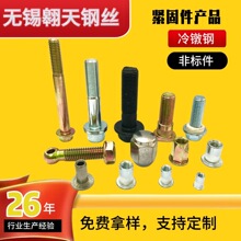 非标异型螺栓 冷镦加工台阶螺丝 SAE1022 SWCH45K 非标紧固件