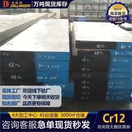工厂直供Cr12模具钢A2圆钢Cr12MoV 钢板 DC53任意零切