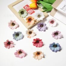 ����6.5cmС��ջ��^С̫�diy������Ʒ̨�b�c�������ÔzӰ��