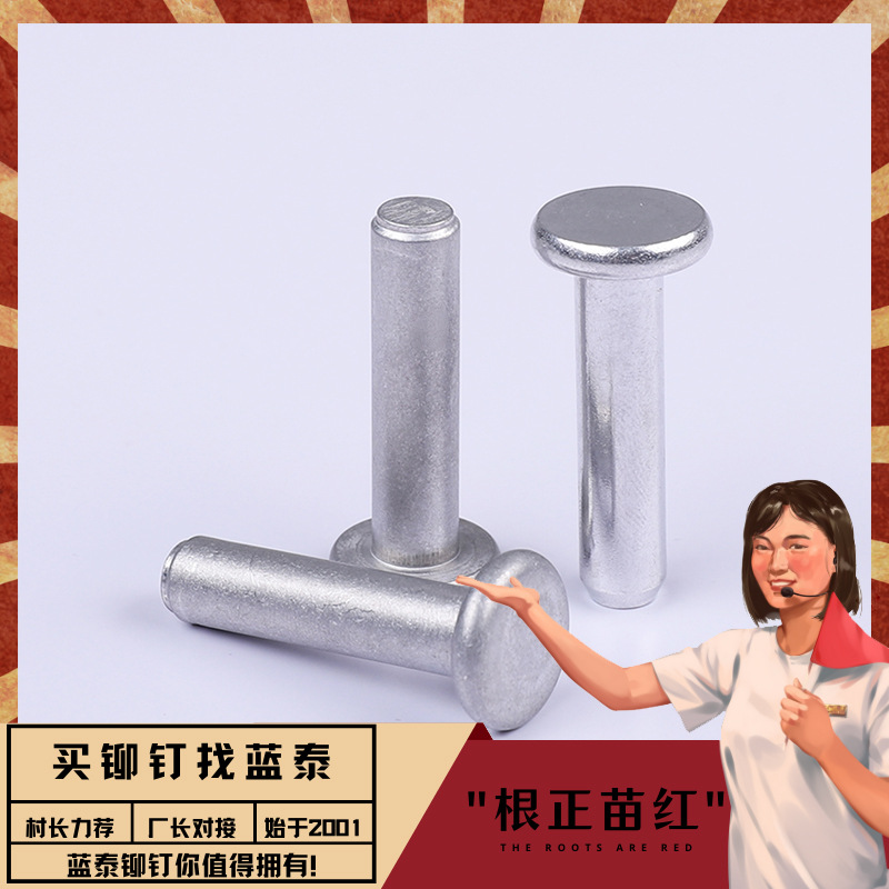 GB/T109 平头铆钉 平头实心半空心（铜、铁、铝、不锈钢）铆钉