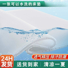 德国纯3D空气纤维加硬床垫防潮排湿可水洗护脊褥子榻榻米卷包折叠