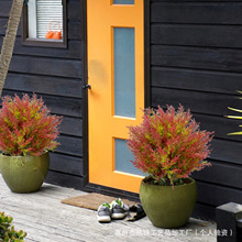 P\RdոжGֲزƺ@ͥԺbƷ