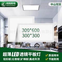 300×300の平板ライト、一体型天井照明300600、アルミ製の吊り下げ式天井板、石膏ボード30×30、浴室・キッチン用ライト