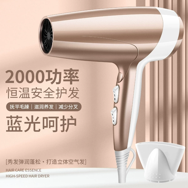 Gold [No. 15] Hair dryer