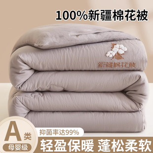Cotton Quilt Winter Quilt Cotton Quilt Winter Home Thickeneded Warm Cotton Batting Single Spring & Fall Quilt Winter Quilt Core