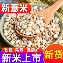 ޲����5���F�������r���خa�ඹ�t��޲����ʳ���s�Z�ּZ������l