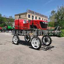 100�R��������򌇊ș܇ 16.5m�L���U�rș�����C ���߸ߵױP���F܇