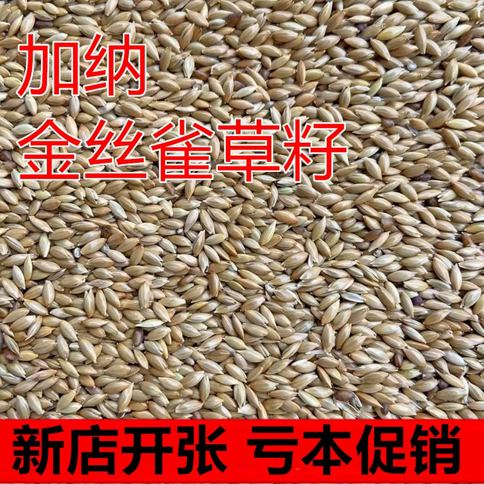 Новая Гана Лизи Попугай Вэнь Птица Жемчужная птица Жемчужное масло Остроконечное просо Белое остроконечное семя канарейки Корм для птиц 1 кг