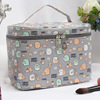 Handheld capacious cosmetic bag for traveling, storage box, wholesale, internet celebrity