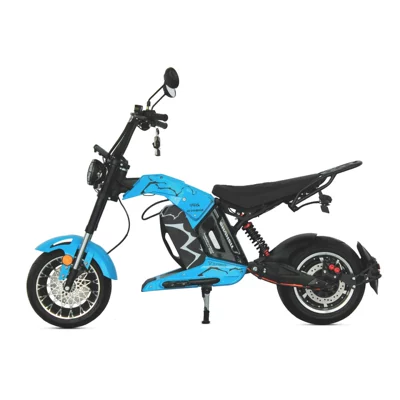 Warehouse Straight Hair, Elektrikli motosikletlər
