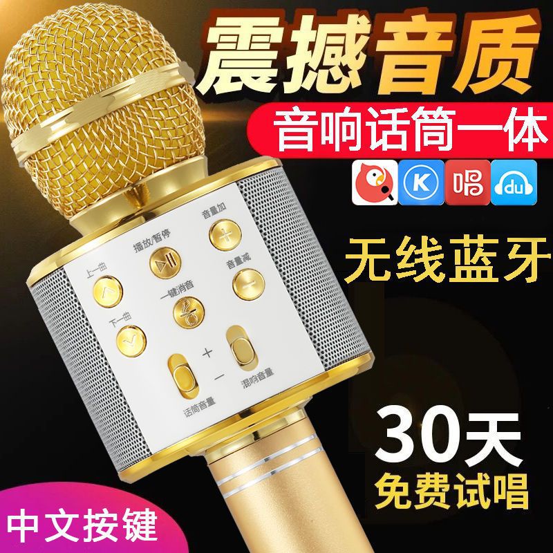 Neutral Adult Singing Microphone All-In-One Bluetooth Microphone Wireless Home Ktv Multi-Function for Middle-Aged and Elderly People