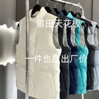Жилет Big Goose Glacier, пуховик, канадский же стиль, 21Ss, белая этикетка, легкий жилет для пар, мужская и женская теплая куртка