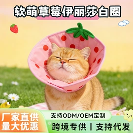 猫猫包、箱;猫猫玩具;猫厕所