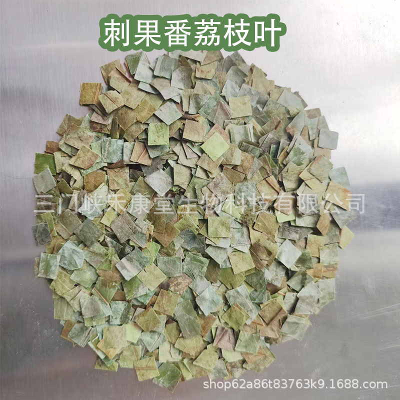 Graviola Leaves, Soursop Leaves, Premium Dried Leaves, Red Durian Dried Leaves Tea, Graviola Leaves, Soursop Leaves
