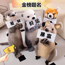 �ɐ�����������żë�q�����ܹ���ˮ�H�����ރ�ͯ�������նY��Ů