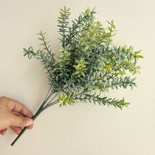 ������r�������ֲ����ˮ�ݾG�������b���ķ�ײݏS�����l