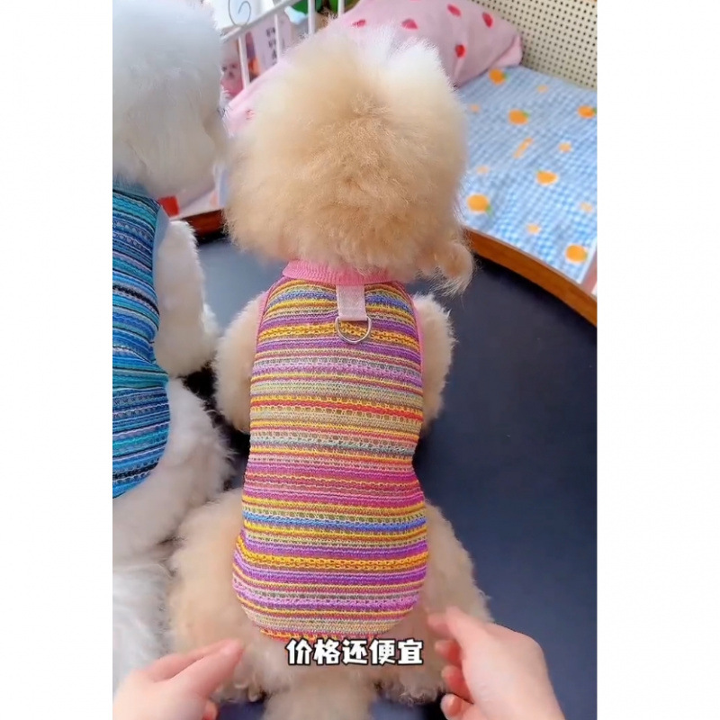 Ropa de perro y gato de verano antipello arco iris transpirable trenzado chaleco hueco puede tracción Teddy Bear Bo Mei