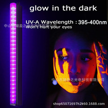 led紫光灯T5UV固化灯管6W低压USB款395nm氛围灯荧光Party