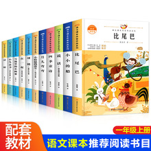 ȫ��11��ע����С�Wһ�꼉�σ��Z��ͬ����x�n�����β��СС�Ĵ�