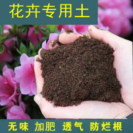 栽花专用营养士种花养花花泥花盆栽花卉种植土壤阳台种菜通用家用