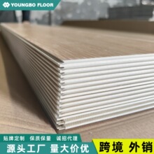 �F؛���Q�ذ幤�SSPC��ˮ�i�۵شu���z�o�p���b����ľ�y