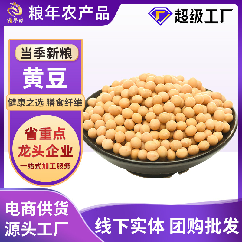 东北黄豆5斤批发现货发芽打豆浆做豆腐专用新鲜大豆五谷磨粉原料