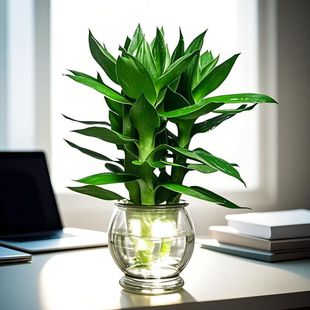 �ļ���ؔ�\ˮ���^�����F���҃Ⱥ��B�Gֲ�k���ҿ͏d�����՚�ֲ��