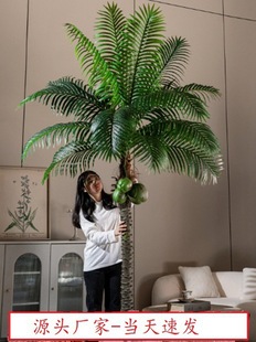 ᘿ���Ҭ�Ә�ֱ���g�p���b��҃ȼپGֲɢβ���ؙ�����������ֲ�q