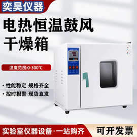 电热鼓风干燥箱高温加热小型工业烤箱实验室高温烘箱恒温烘干机