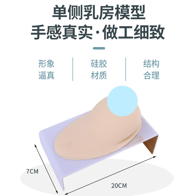 ������ɩ�������Ů���鷿����ʦ��ѵ���߲���轺�鷿�̾�ģ��